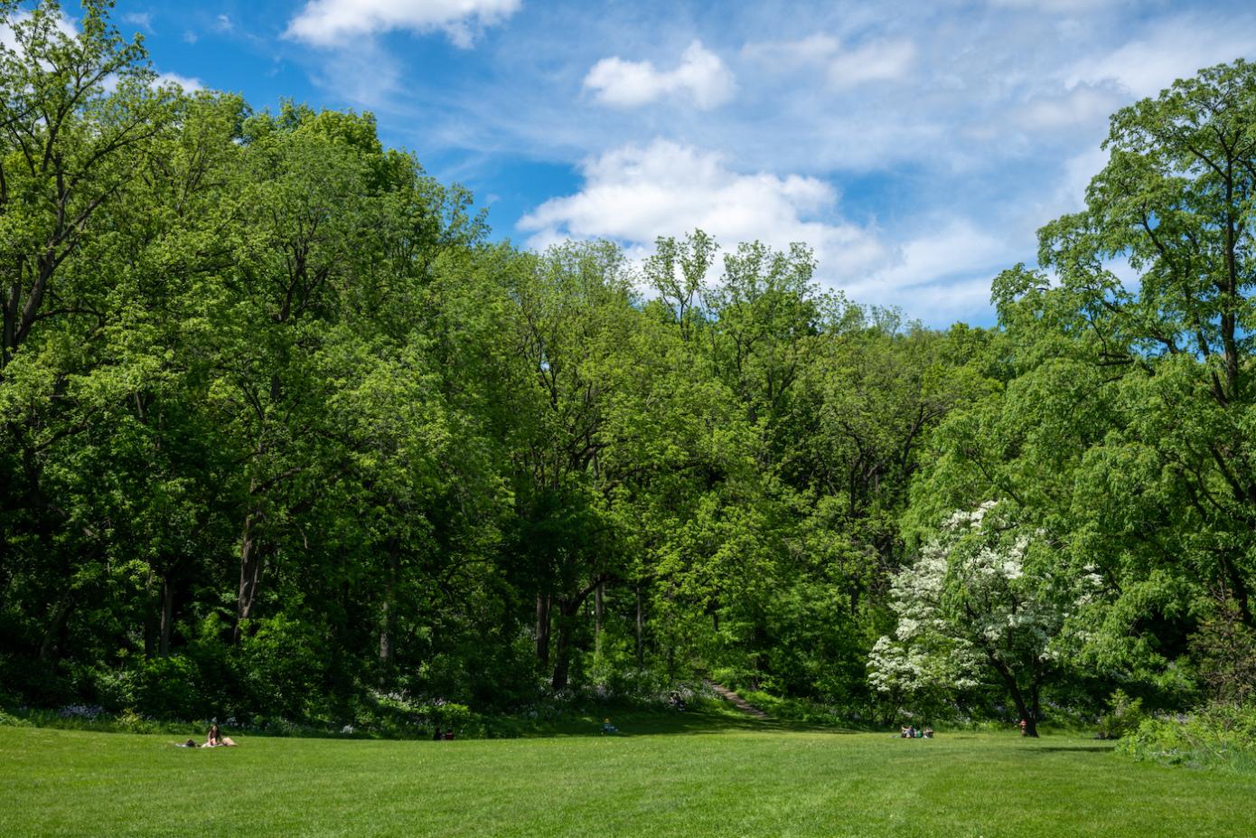 Nichols Arboretum