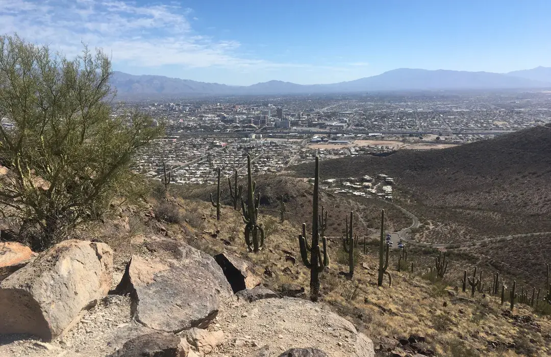 Tumamoc Hill