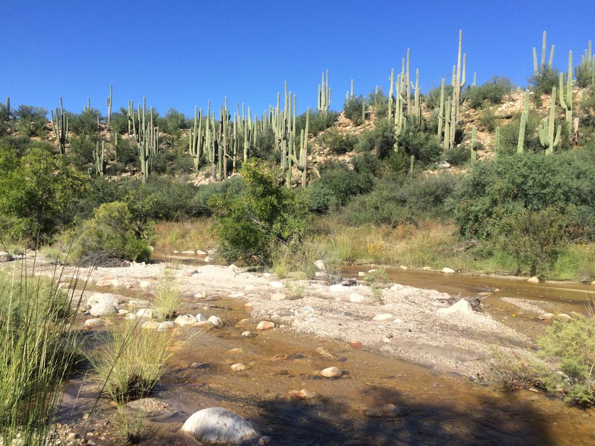 Catalina State Park