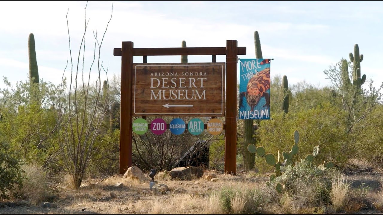 Arizona-Sonora Desert Museum