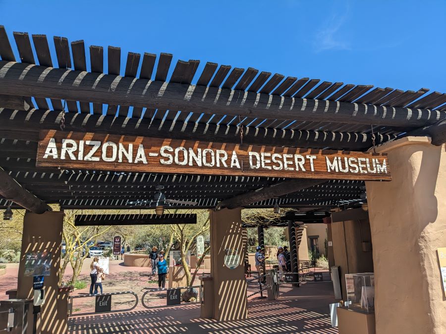 Tucson Desert Museum